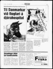 Síða 3