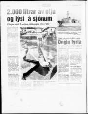 Síða 6