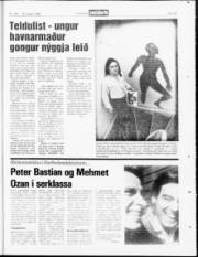 Síða 23