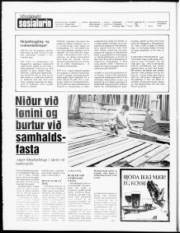 Síða 2