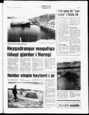 Síða 5