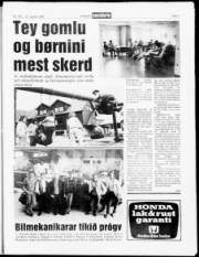 Síða 7