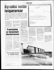 Síða 8