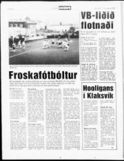 Síða 10
