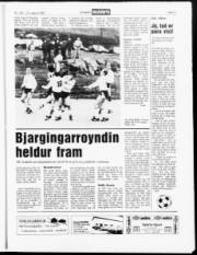 Síða 11