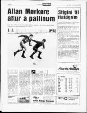 Síða 14