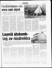 Síða 17