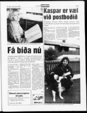 Síða 9