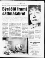 Síða 3