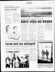 Síða 6