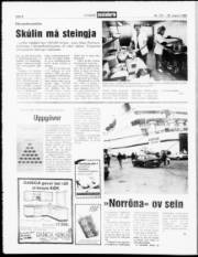 Síða 8
