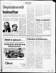 Síða 15