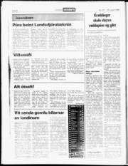 Síða 20