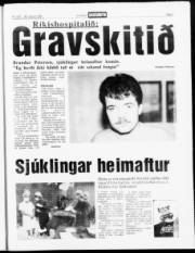 Síða 3