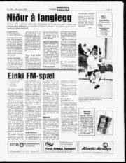 Síða 11