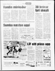 Síða 13