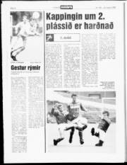 Síða 14