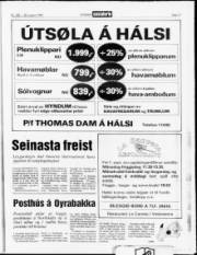 Síða 17