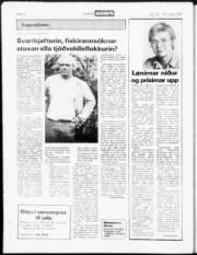 Síða 18