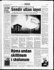 Síða 3