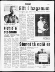 Síða 5