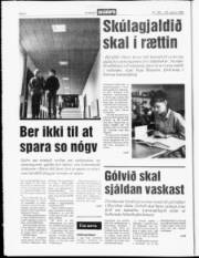 Síða 6