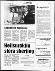 Síða 11