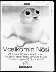 Síða 17