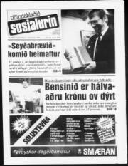 Síða 1