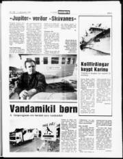 Síða 5
