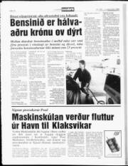 Síða 10