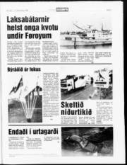 Síða 5