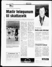 Síða 16