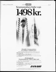 Síða 17