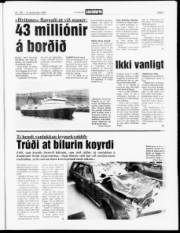 Síða 3