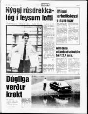 Síða 5