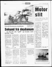 Síða 6