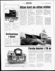 Síða 8