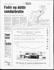 Síða 9