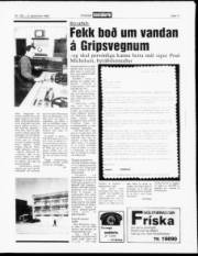Síða 11