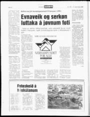 Síða 12