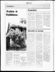 Síða 16