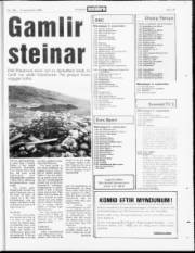 Síða 19