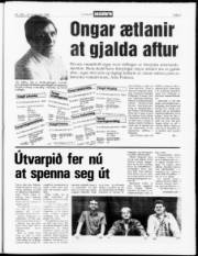 Síða 3