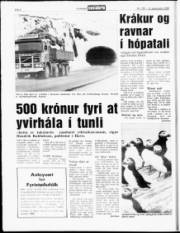 Síða 6