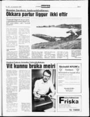 Síða 7