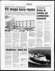 Síða 9