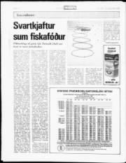 Síða 16