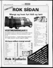 Síða 17