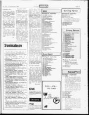Síða 19